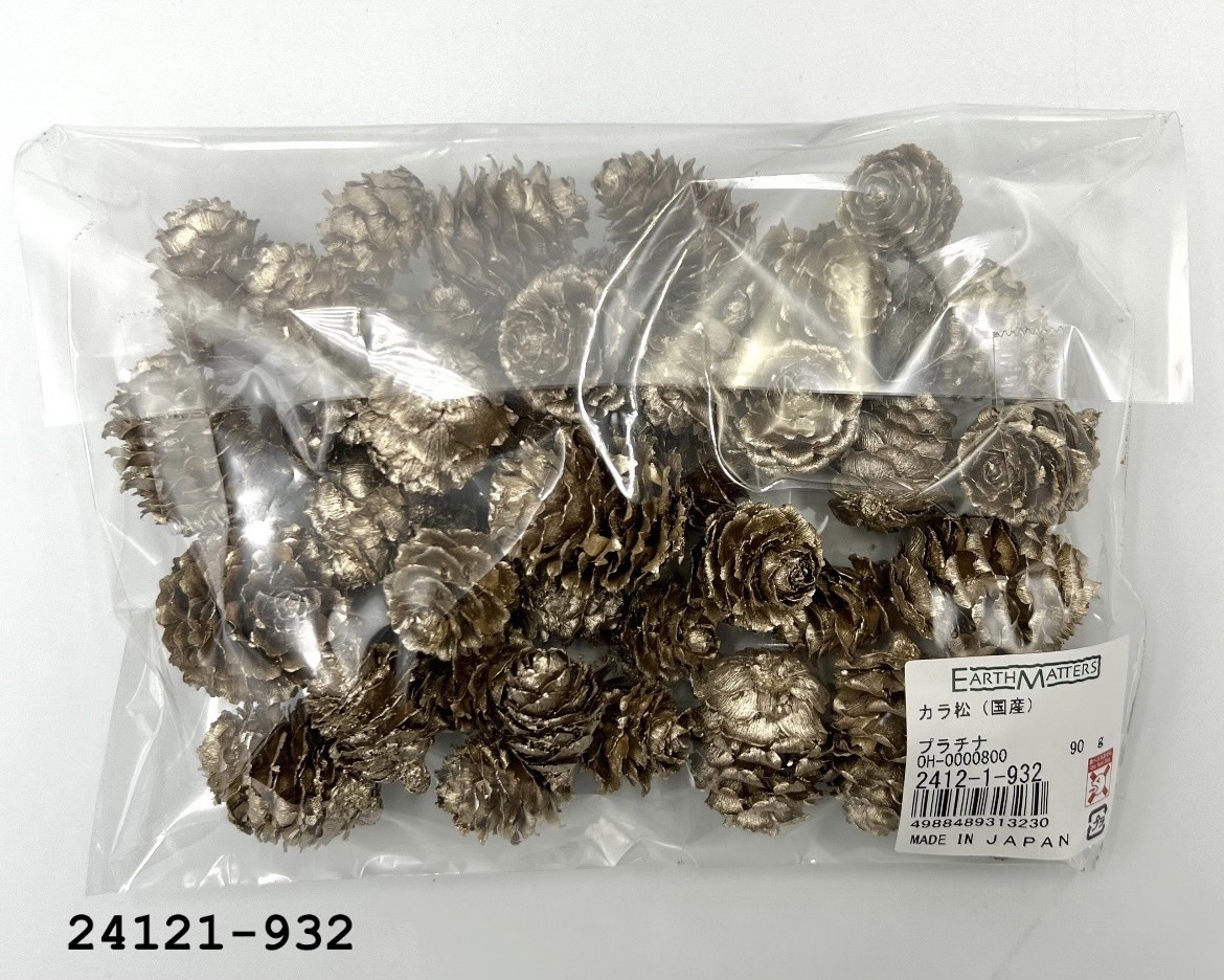 日本乾燥落羽松松果 24121-932