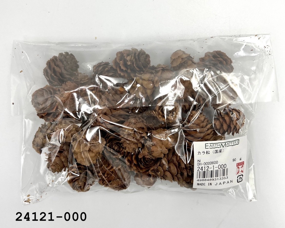 日本乾燥落羽松松果 24121-000