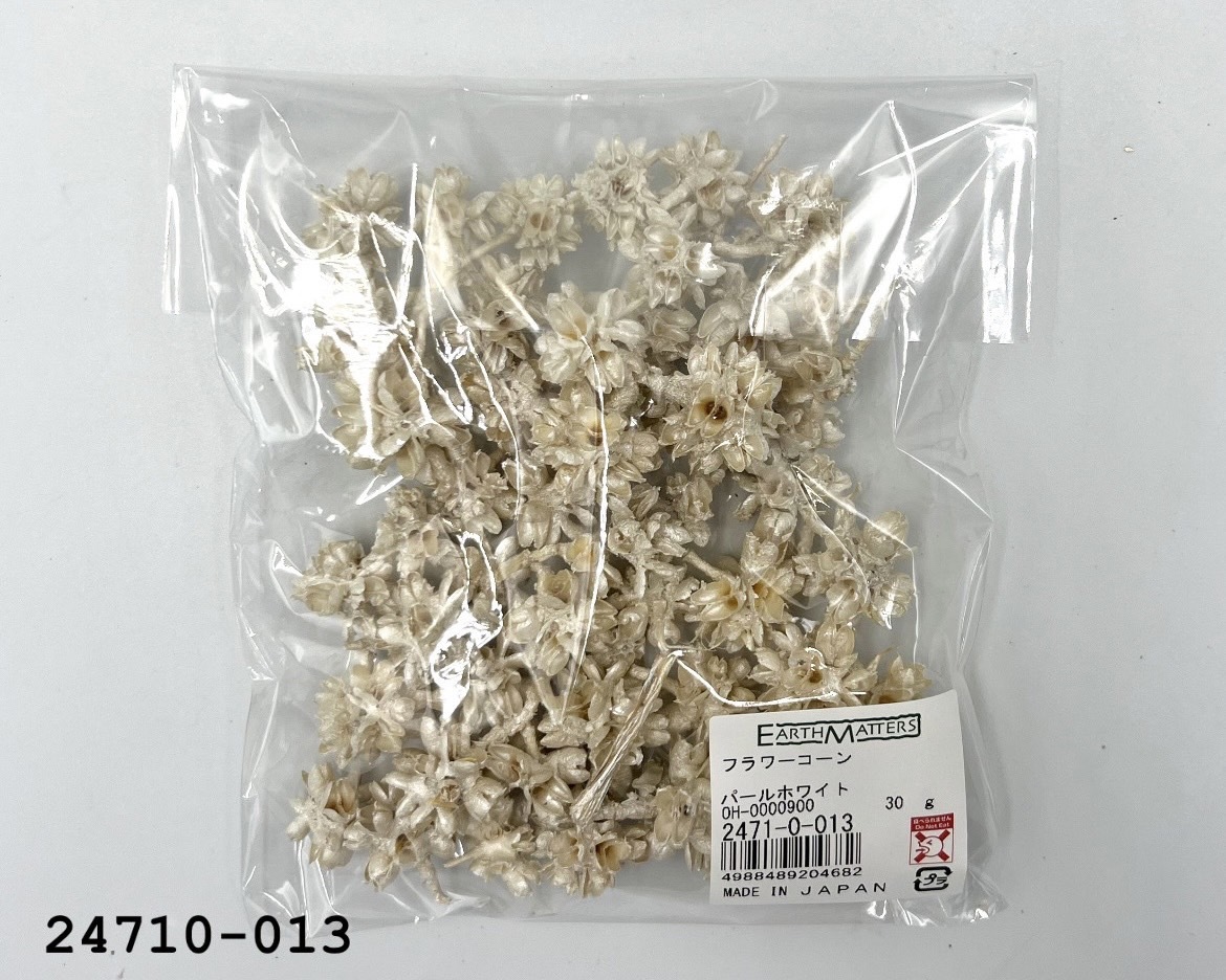 日本花核果 24710-013