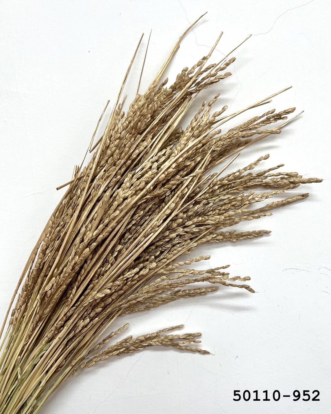 日本乾燥稻穗 50110-952