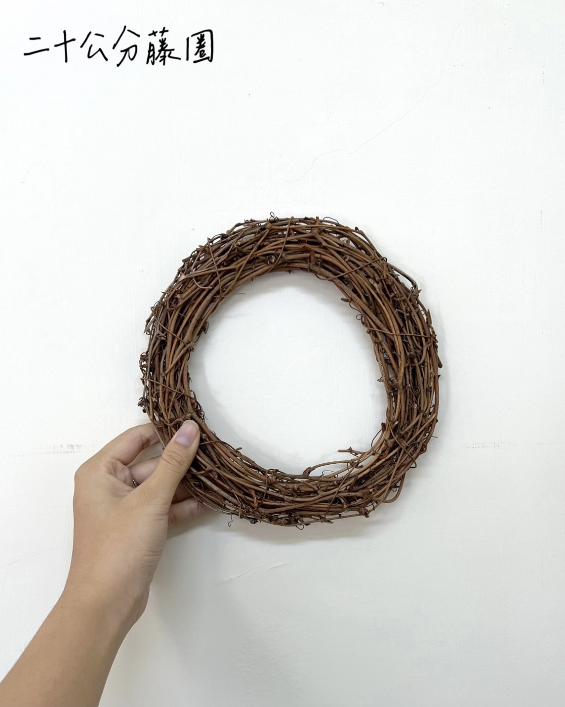 二十公分藤圈
