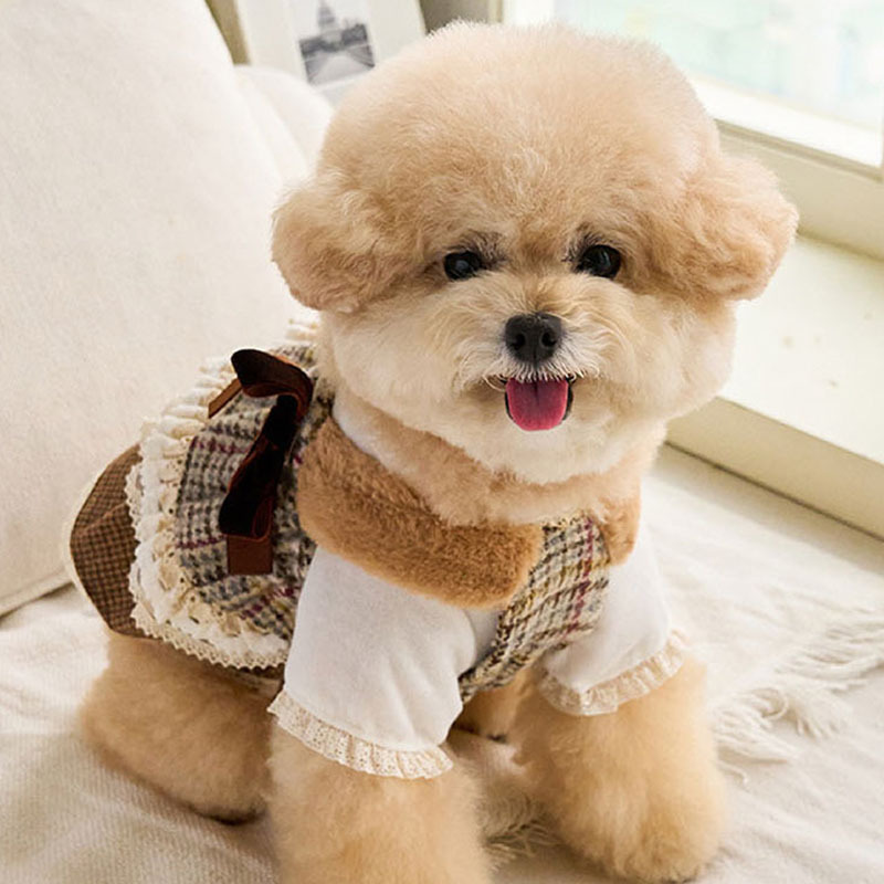 Cancan經典吊帶層裙 -It’s sunny outside