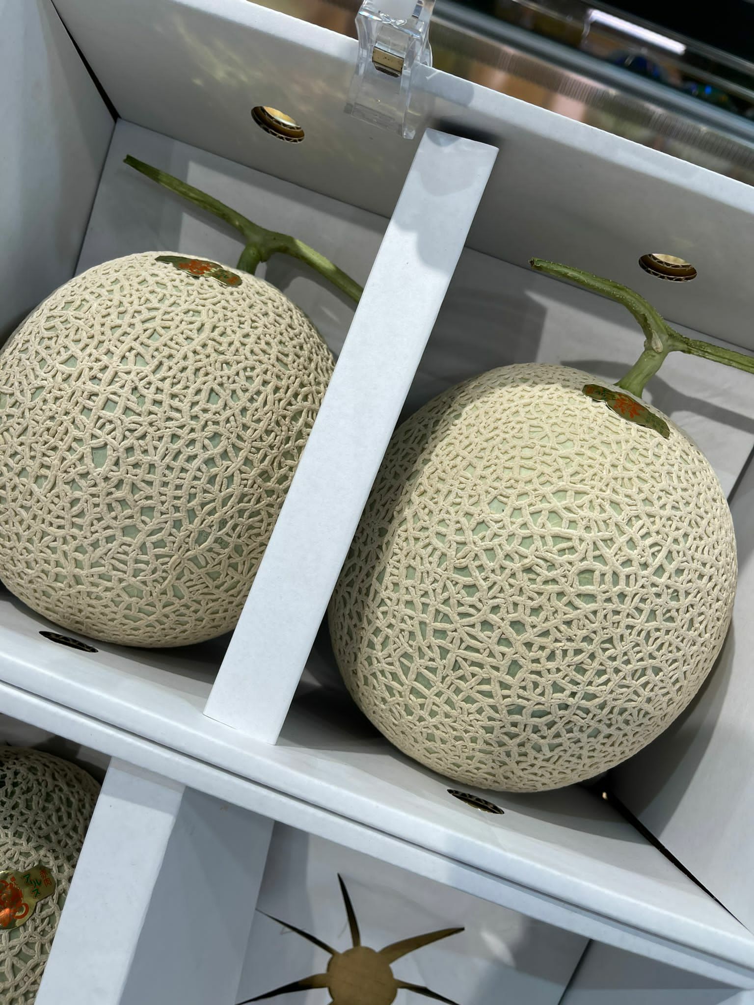 Bless -Fruit - 日本和歌山赤肉瓜