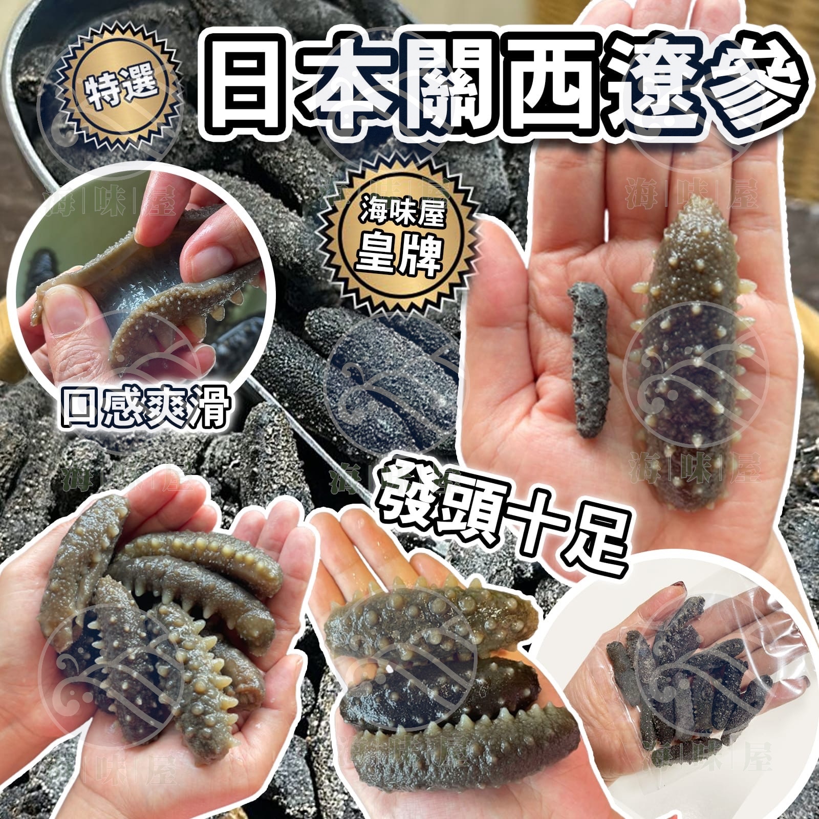 H16472 特選日本關西遼參 240 （1包約15 支 / 両）