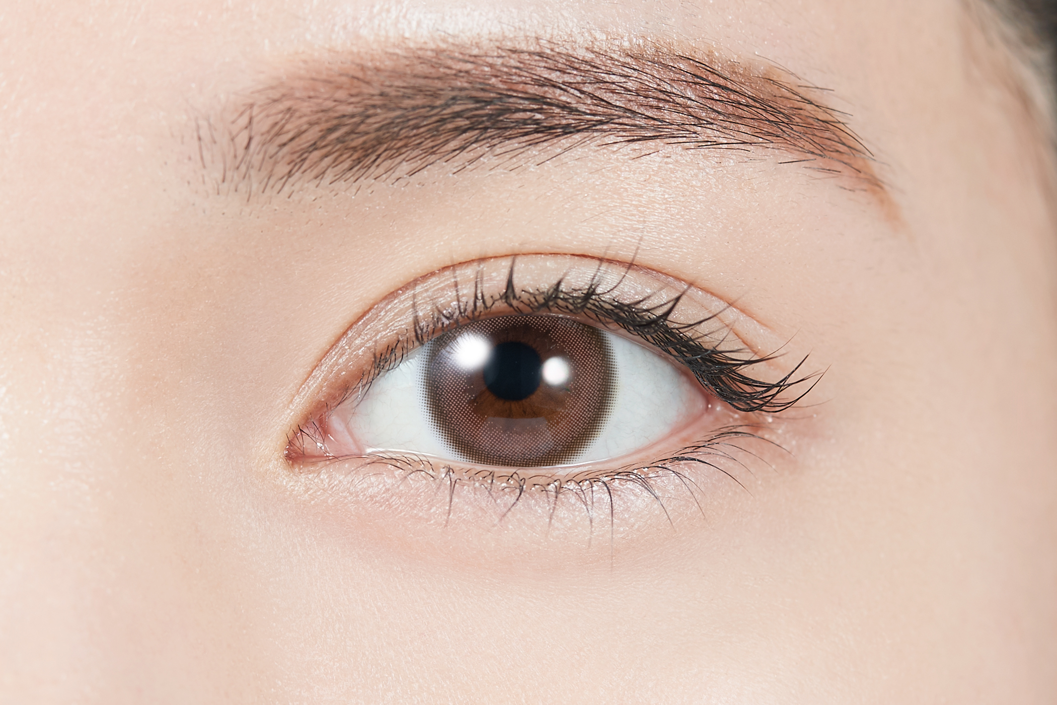 TOPARDS Color Contact Lenses 日本TOPARDS彩色隱形眼鏡(自然裸眼風)(1DAY)(10片裝) Cream Rose