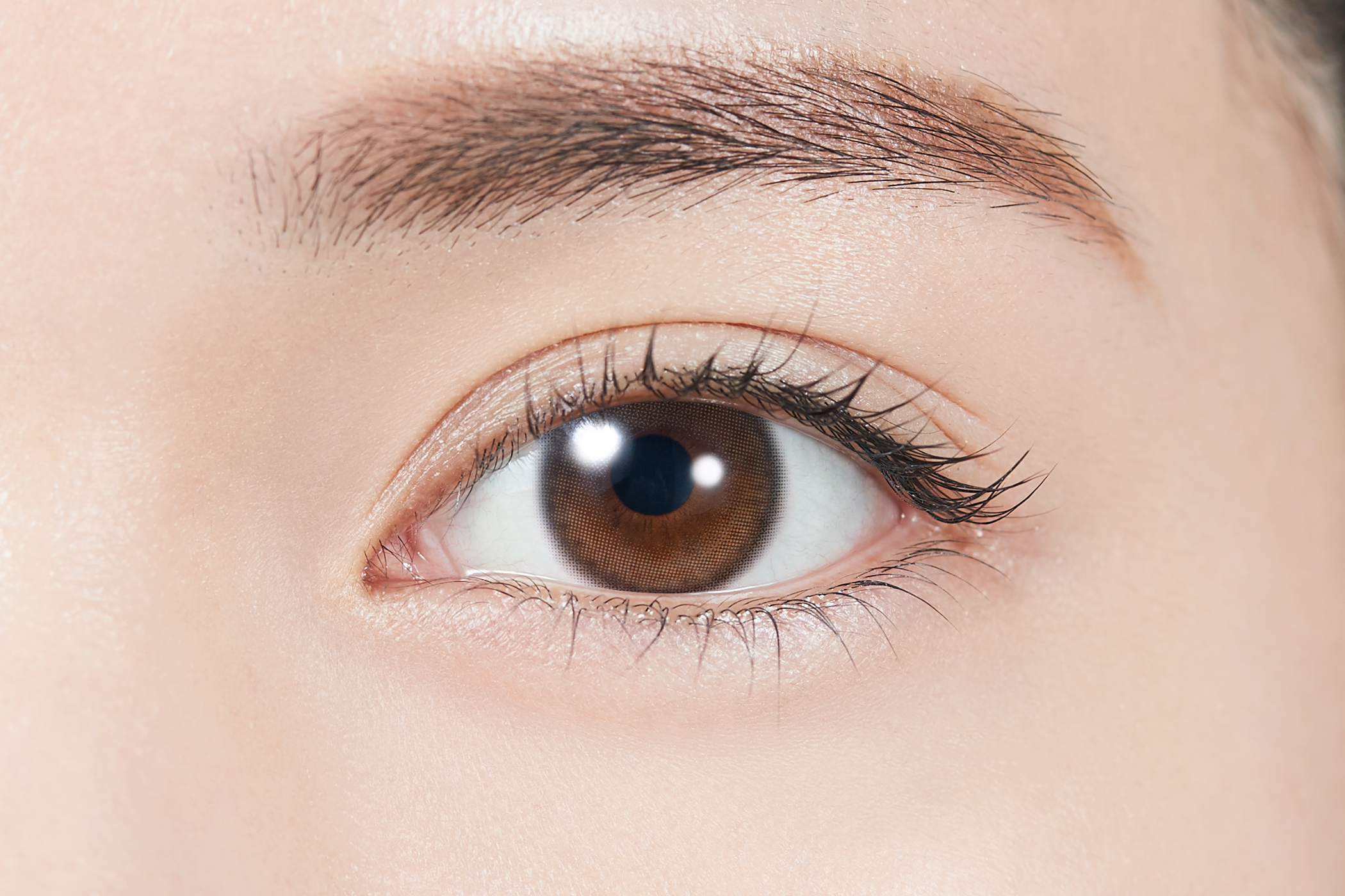 TOPARDS Color Contact Lenses 日本TOPARDS彩色隱形眼鏡(自然裸眼風)(1DAY)(10片裝) Glow Brown