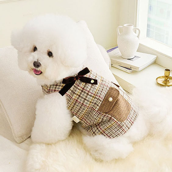 Classic Wool Vest 經典羊毛背心 -It’s sunny outside