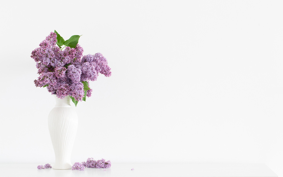 冷氣房裡的肌膚保濕術，肌膚不乾癢不緊繃，舒服水量一整天!