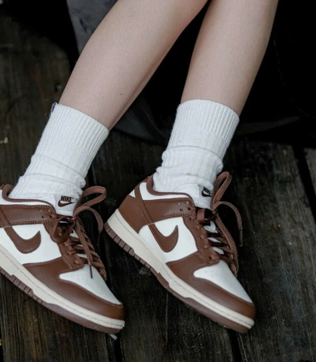 【Luxury】Nike Dunk Low Brown and Sail 咖啡摩卡可可 棕 DD1503-124