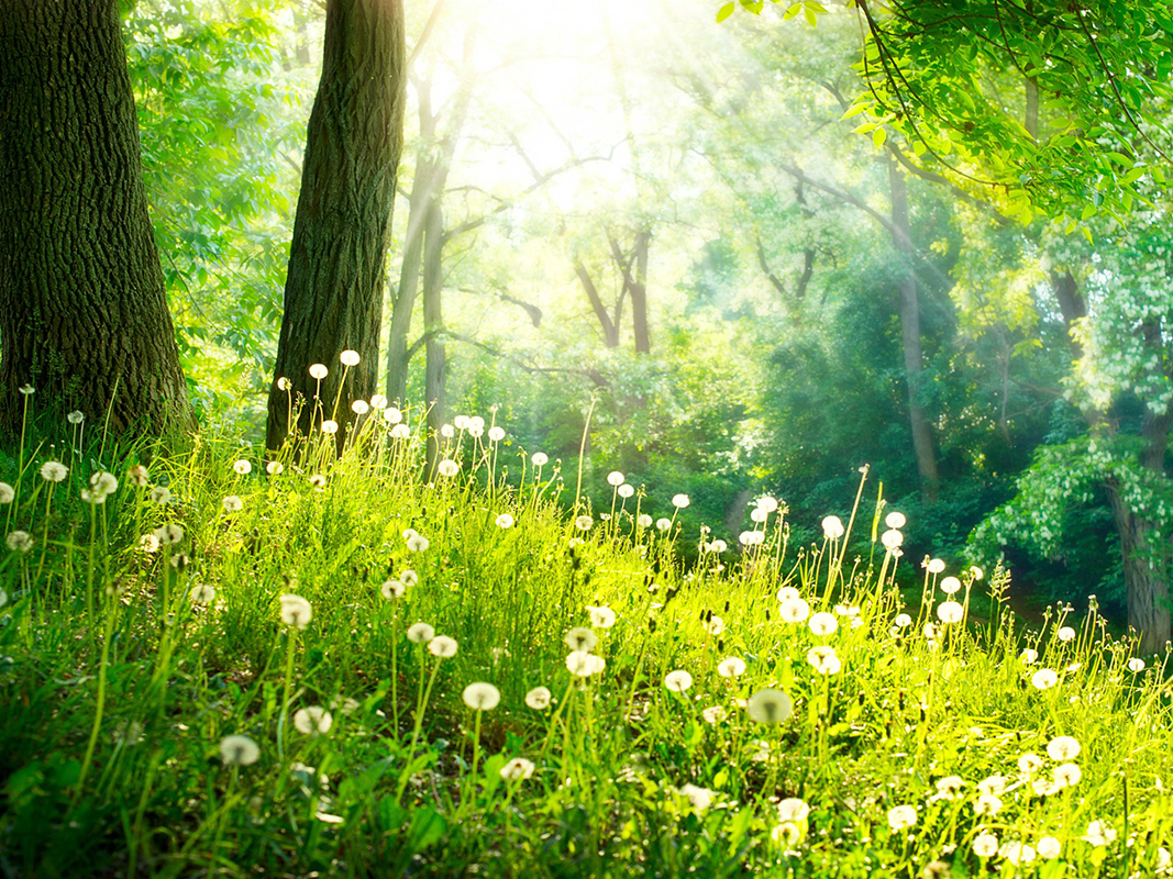 擁有烏黑亮麗秀髮的四大關鍵，跟著我們這樣做就對了!