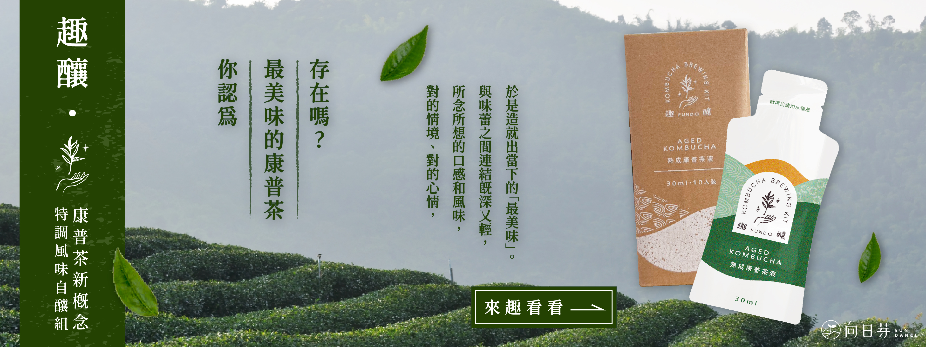 向日芽, 趣釀, 康普茶, 博士茶