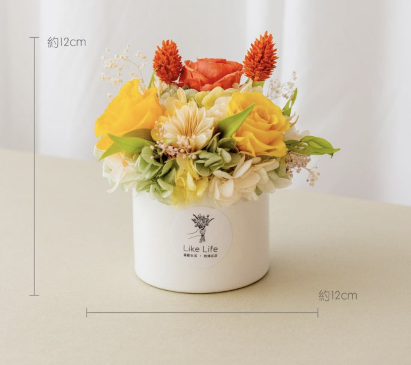 永生花盆花-永生花盆栽推薦-開幕盆栽盆花