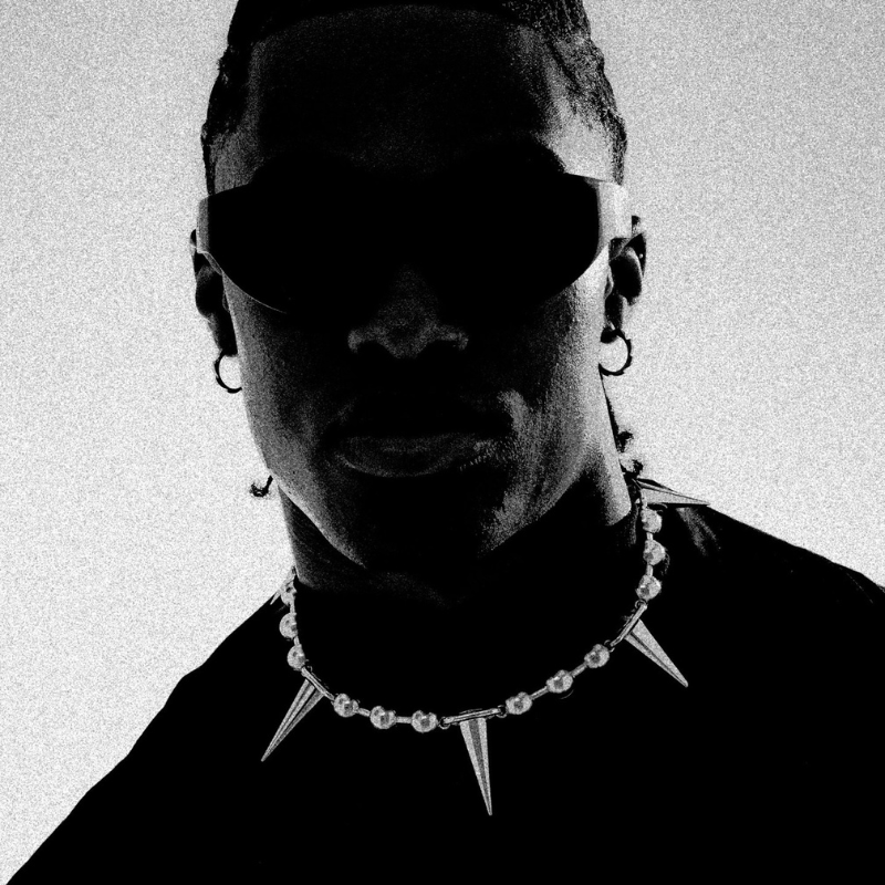 【預購】 Vitaly Design | Ruckus 騷動項鍊