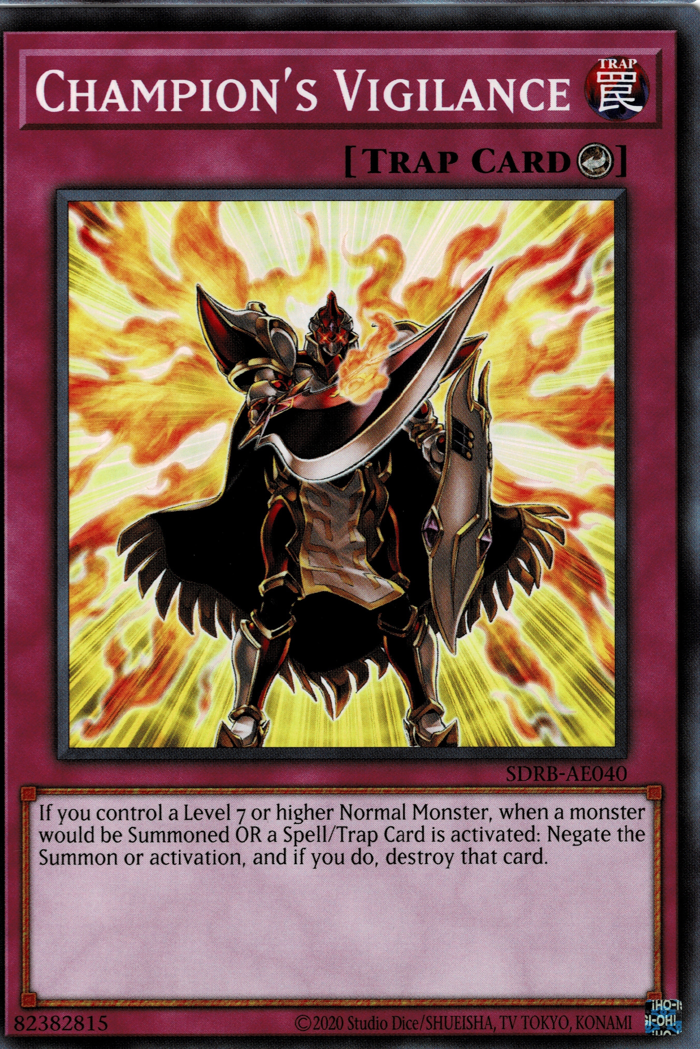 SDRB-AE040 Champion's Vigilance