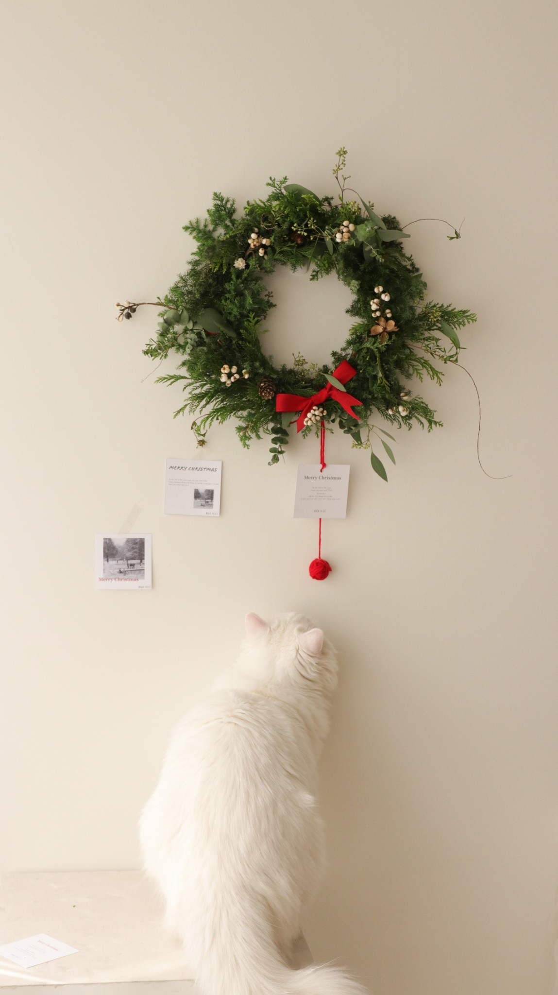 RUNI Christmas - 聖誕花圈🎄