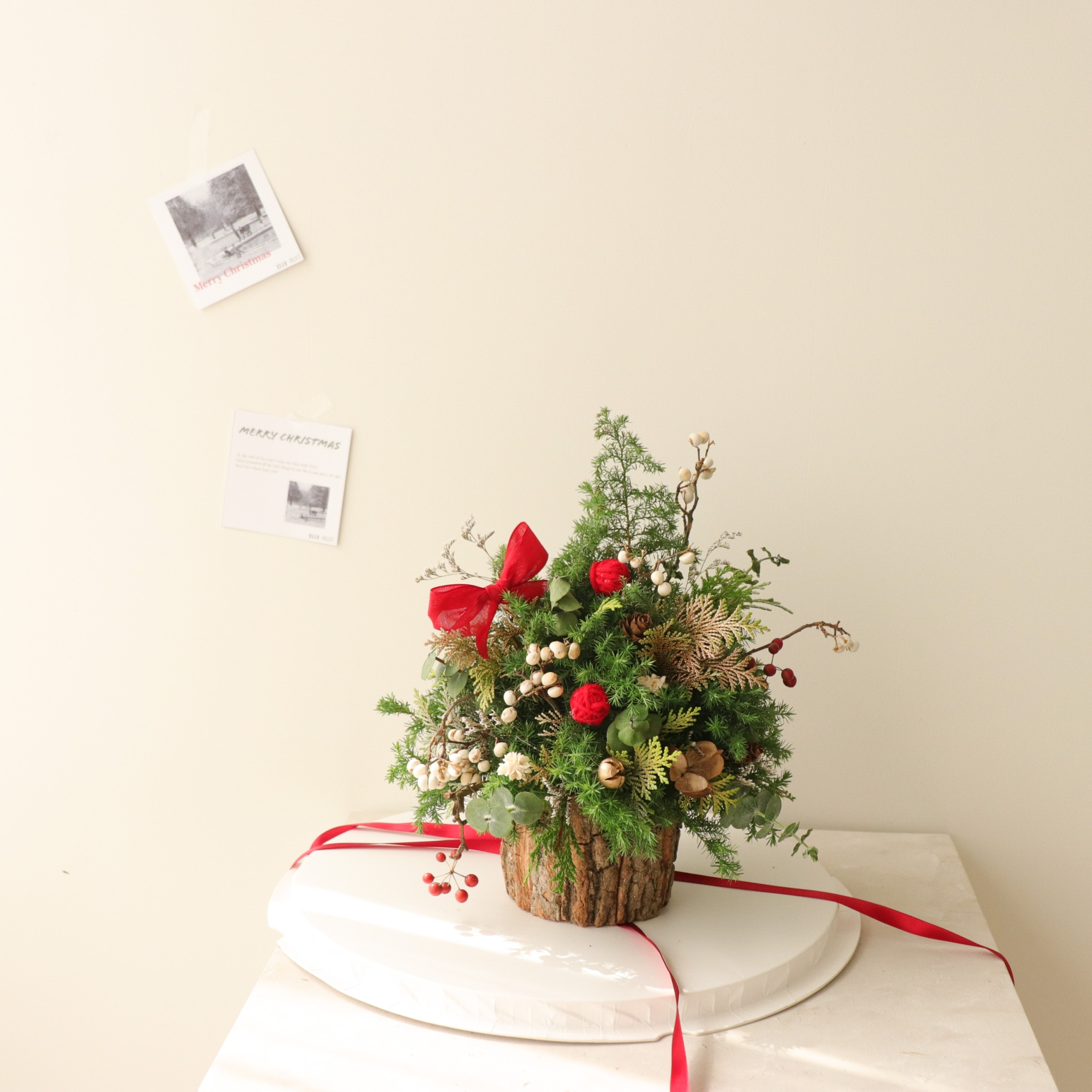 RUNI Christmas - 聖誕小樹🎄