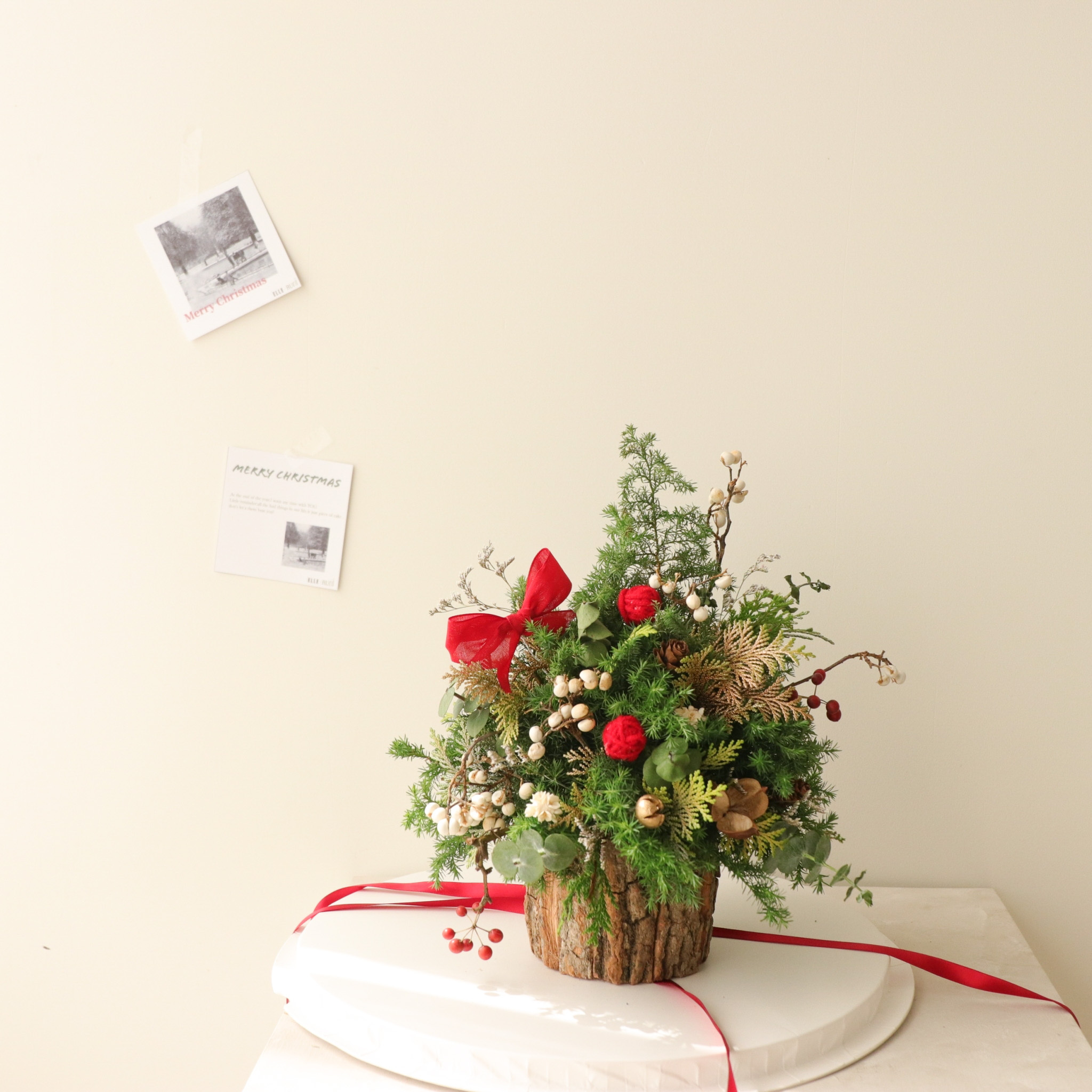 RUNI Christmas - 聖誕小樹🎄