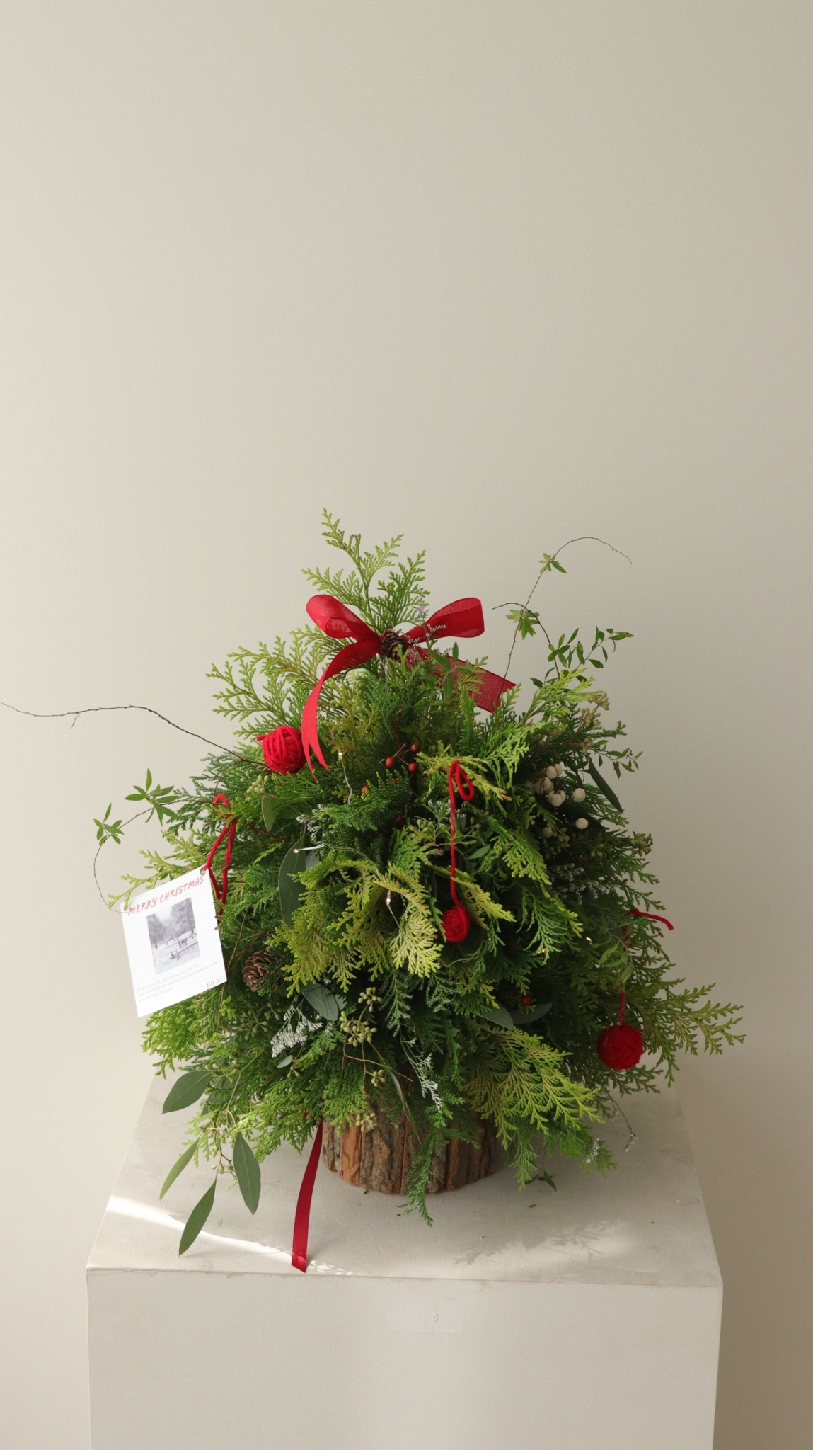 RUNI Christmas - 聖誕大樹🎄