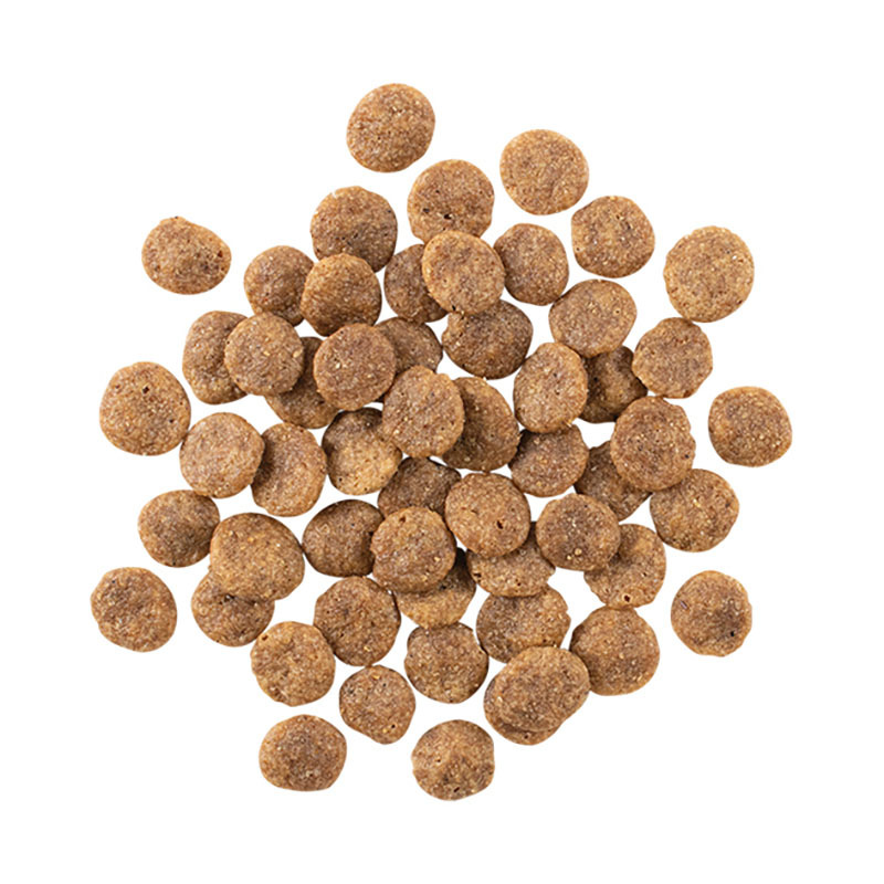 【極寵 GO! 】低致敏 鹿肉無穀糧 (全齡犬)