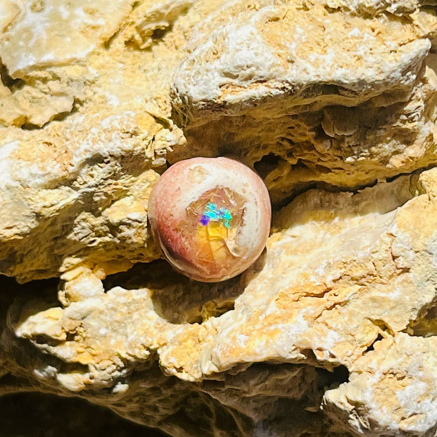 [原石] 墨西哥火蛋白石 礫背蛋白石