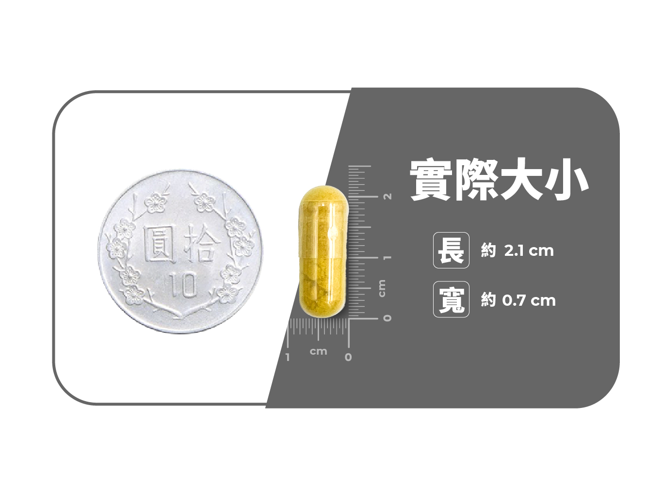 圓拾cmcm實際大小長 2.1 cm寬約 0.7 cm
