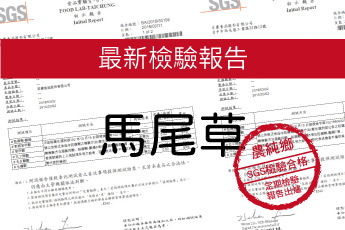 農純鄉 馬尾草B+賦活膠囊- 最新檢驗報告