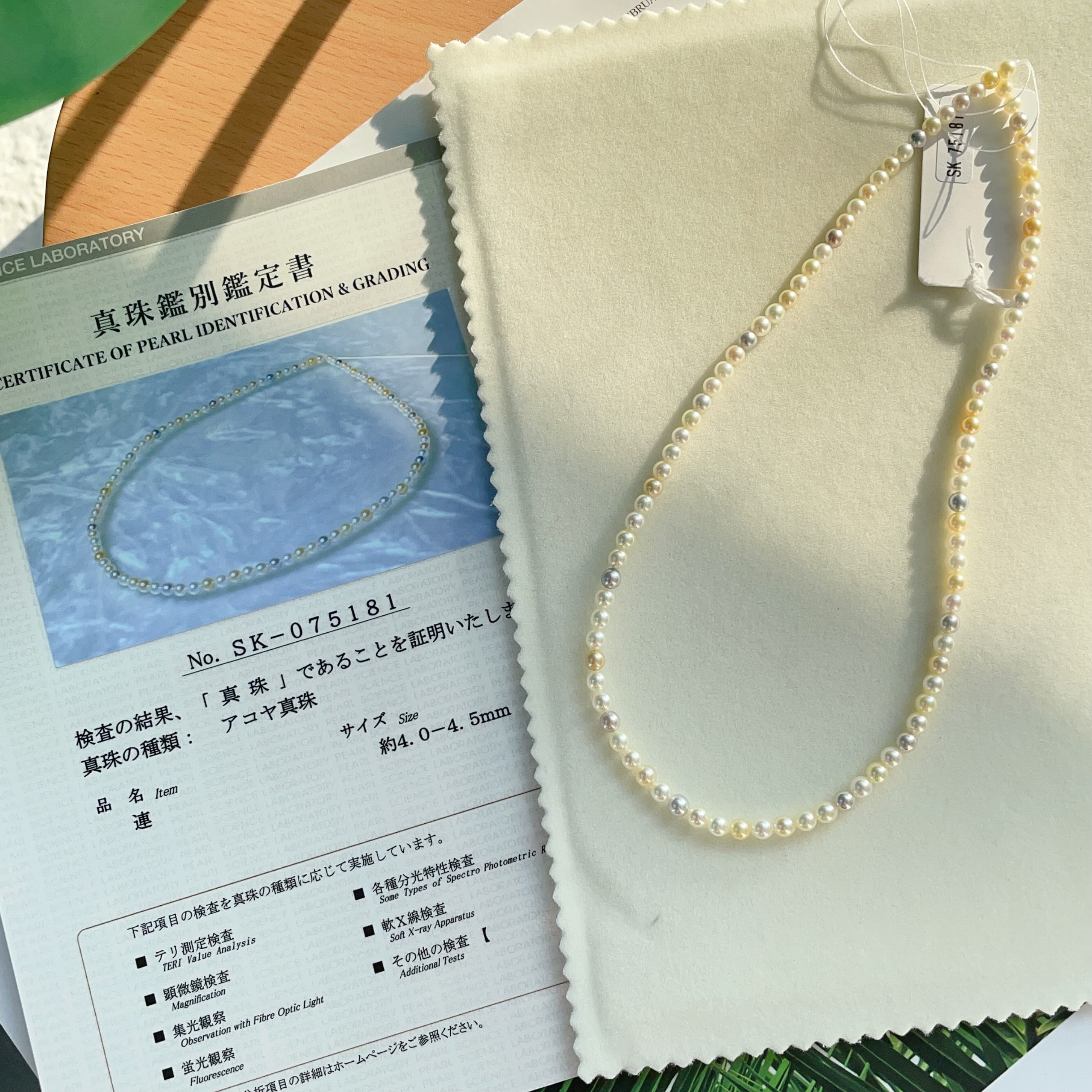 真珠科学研究所 鑑別書付き あこや真珠 2連 ネックレス7.5-7㎜