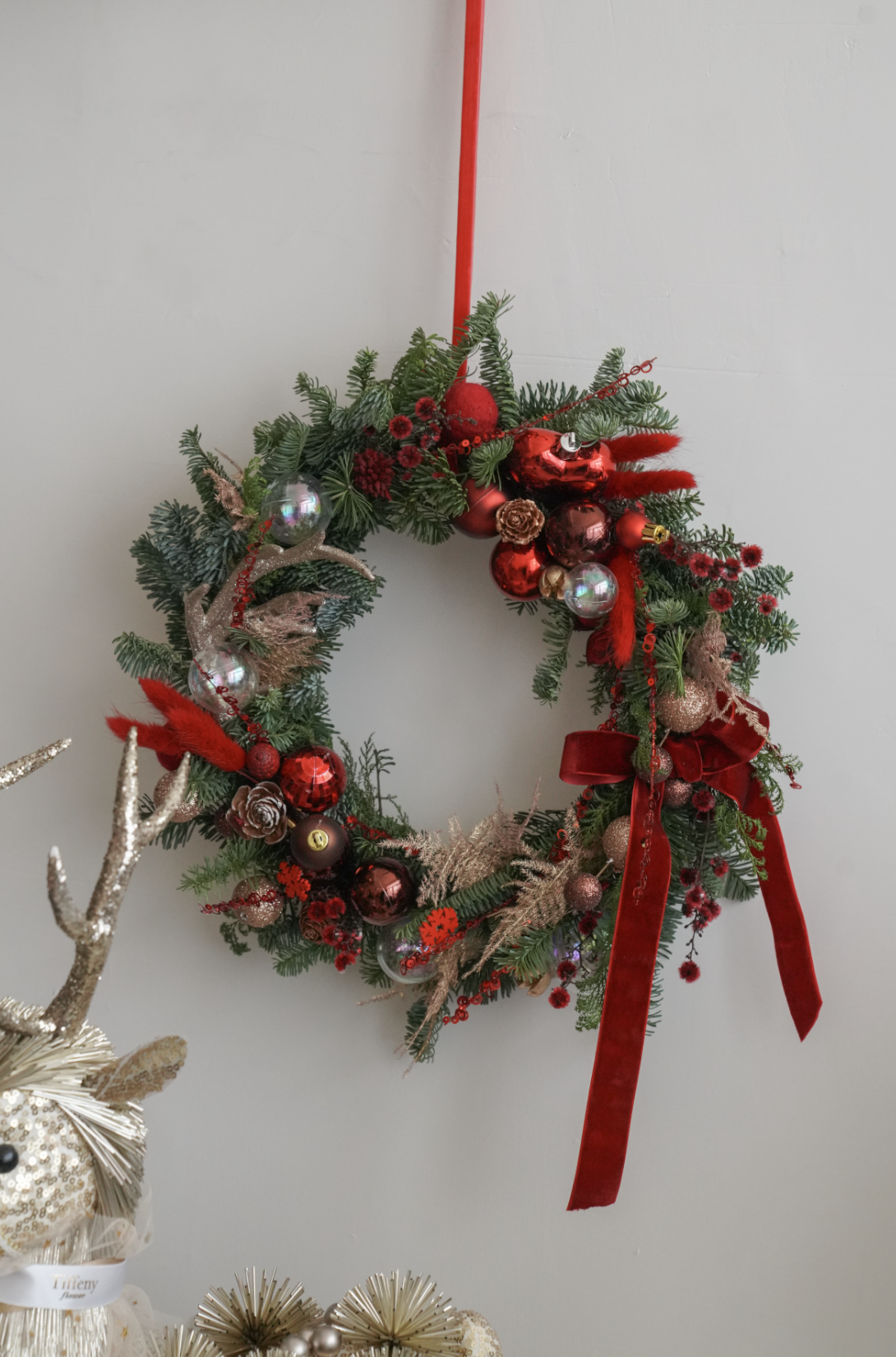 【 新鮮 】熾熱諾貝松聖誕花圈 M ~ XL