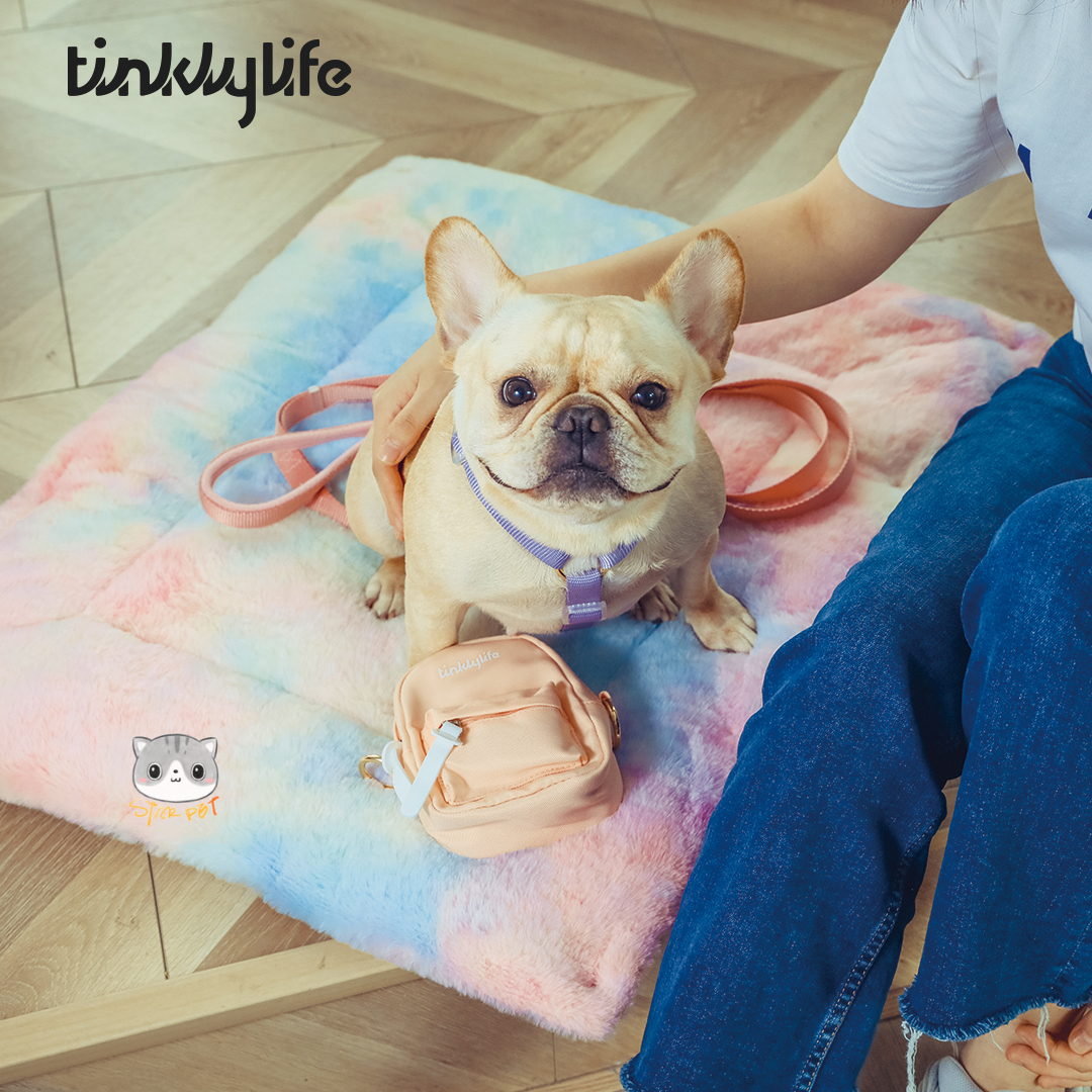 Tinklylife Rainbow Unicorn Dog Bed Cushion