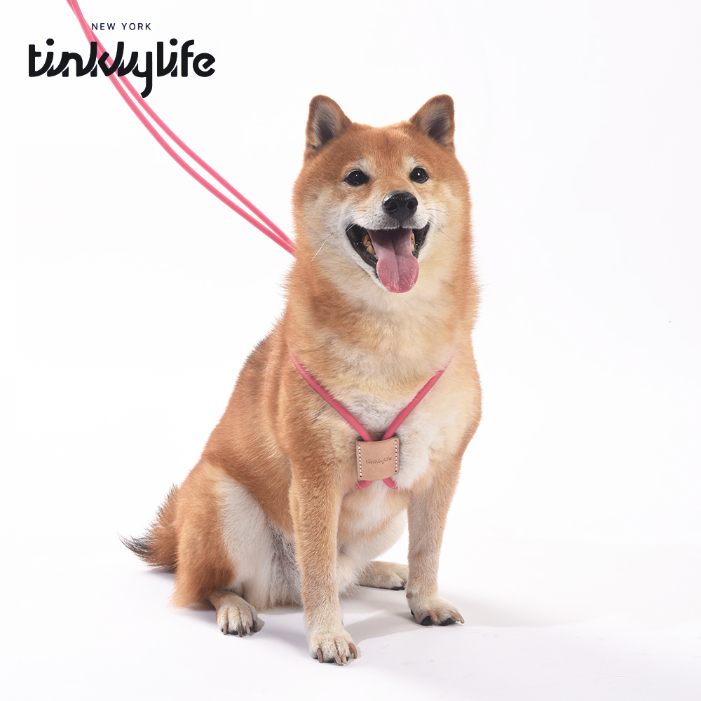 Tinklylife 10 in 1 Dog Leash