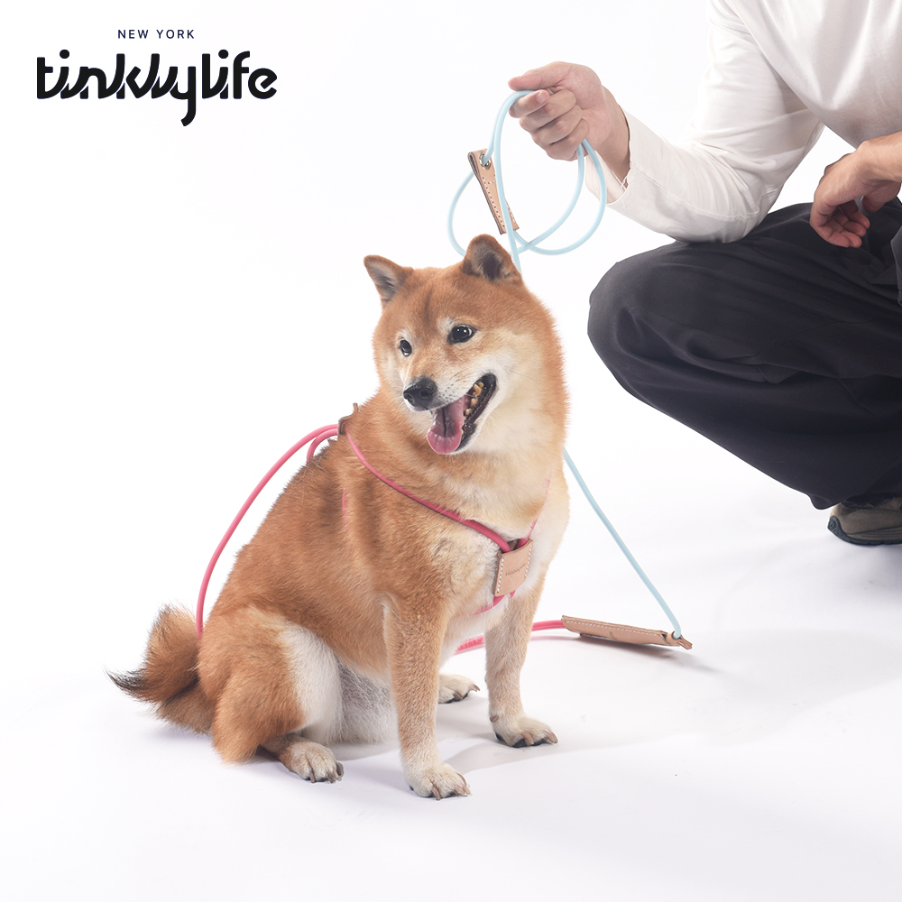 Tinklylife 10 in 1 Dog Leash