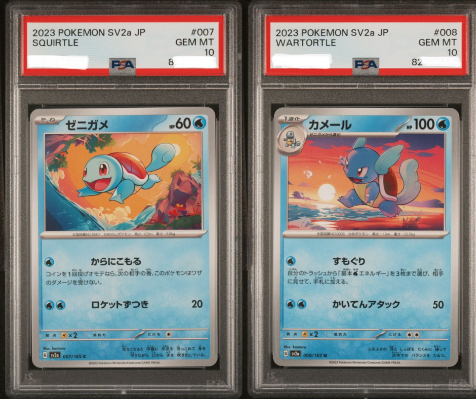 2023 Pokemon SV2a JP Squirtle C #007 + Wartortle C #008 007/165 008/165 【PSA 10】車厘龜