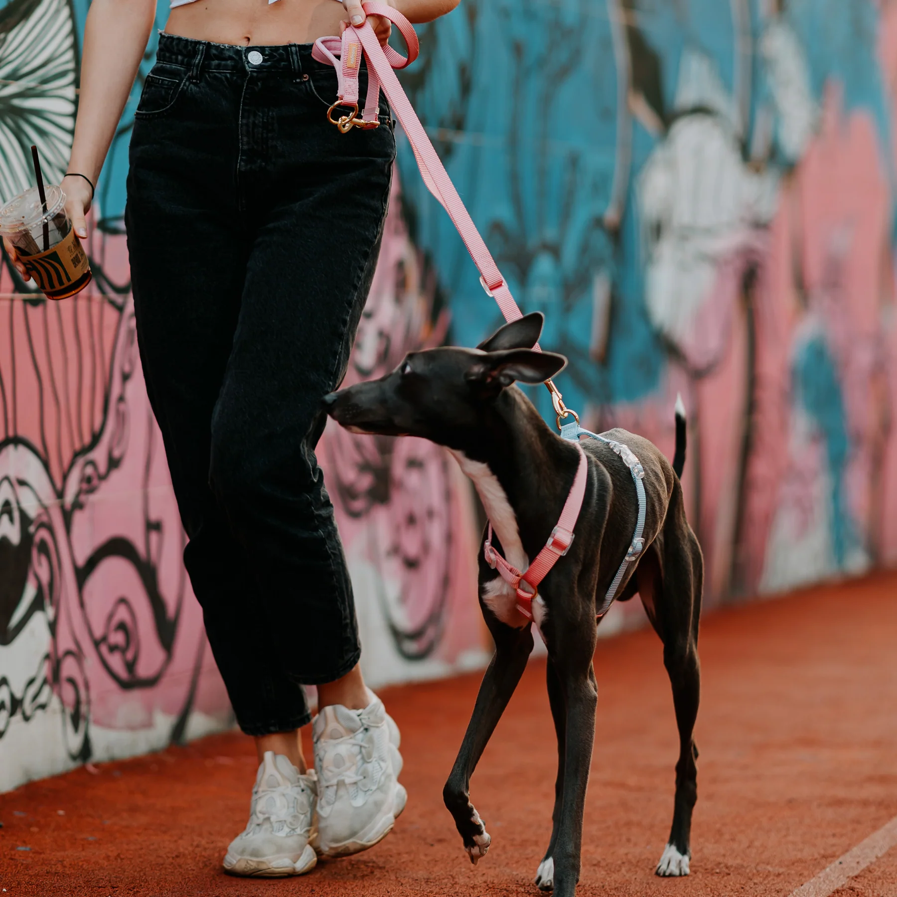 Tinklylife Rainbow Woven Double Ended Dog Leash Pink