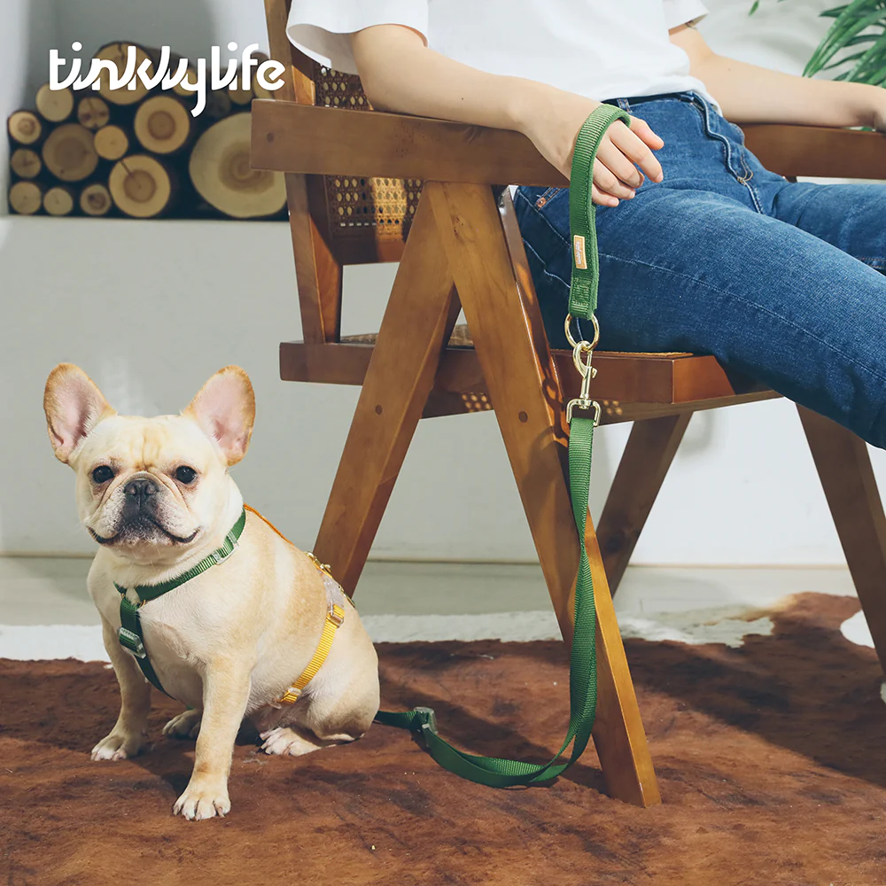 Tinklylife Rainbow Woven Double Ended Dog Leash Green