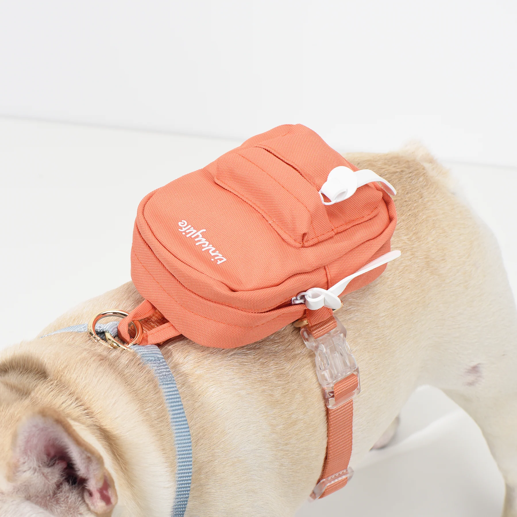 Tinklylife Rainbow Mini Dog Backpack