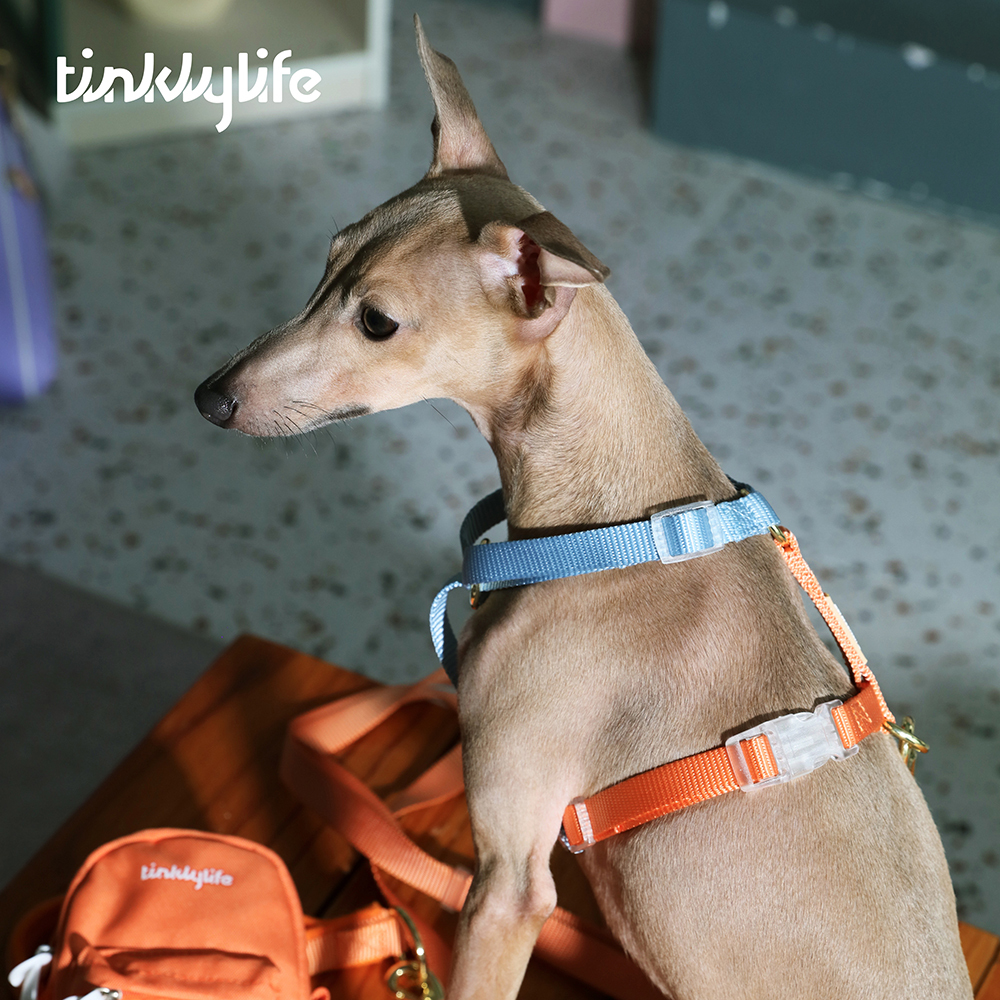 Tinklylife Rainbow Easy Walk Harness Ramune