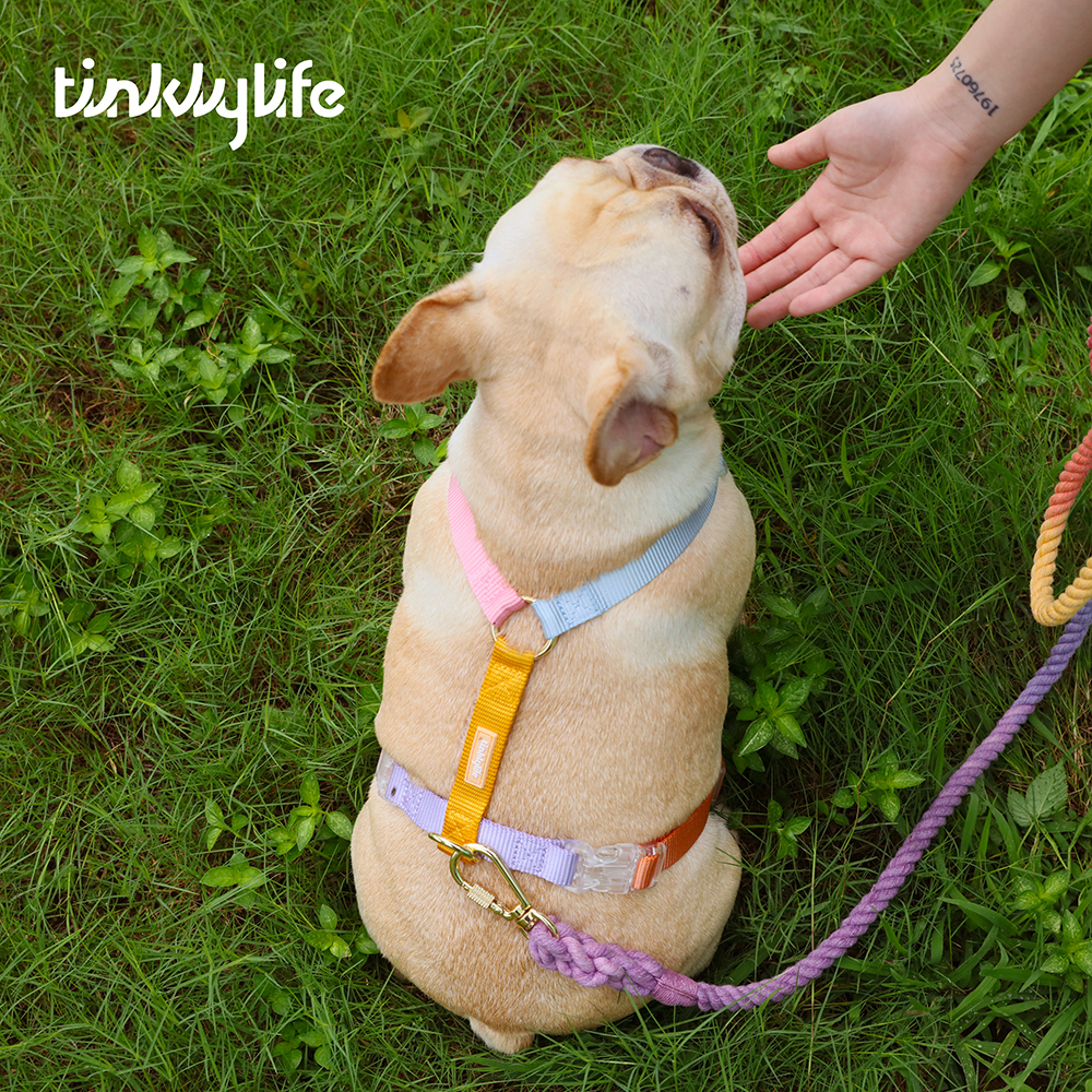 Tinklylife Rainbow Easy Walk Harness Rainbow
