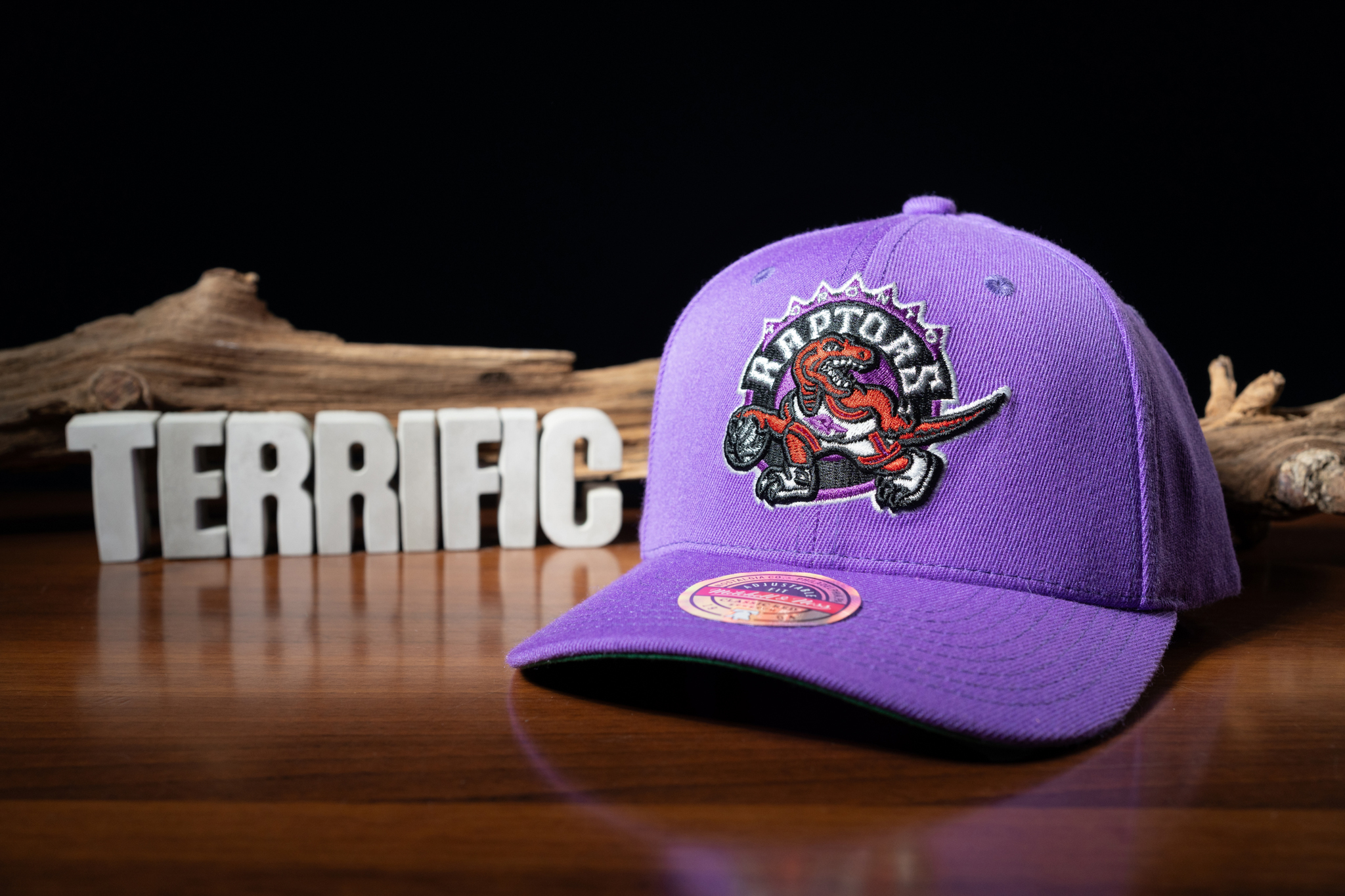 NBA帽子 Toronto Raptors 多倫多暴龍 復古大暴龍 紫隊徽 老帽 M&N 可調式 全新