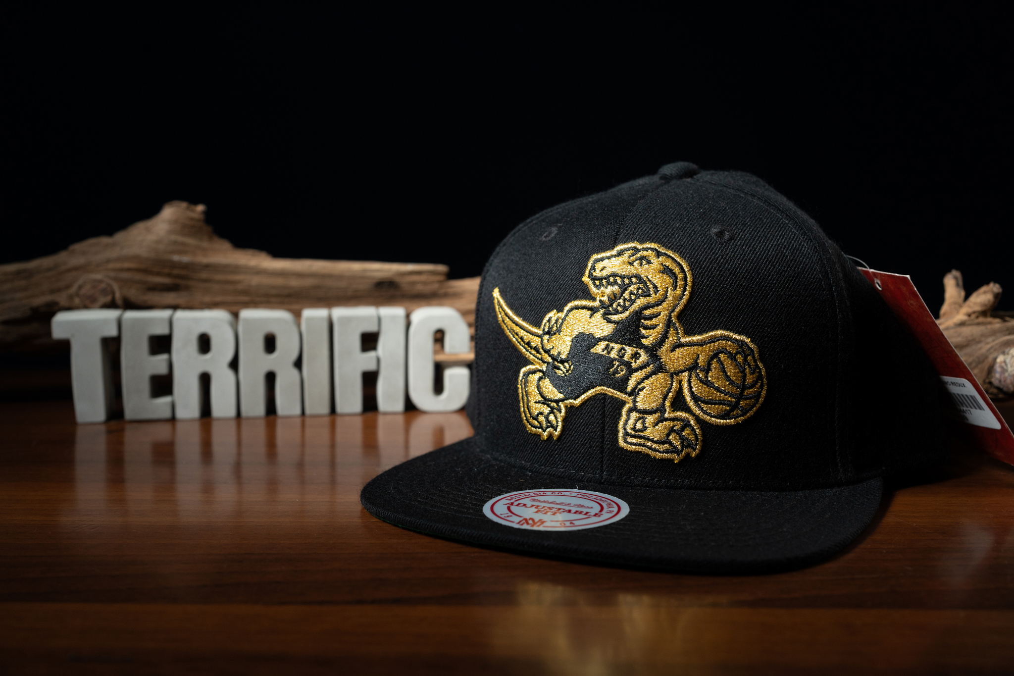 NBA帽子 Toronto Raptors 多倫多暴龍 城市黑金 隊徽 棒球帽 M&N 可調式 全新