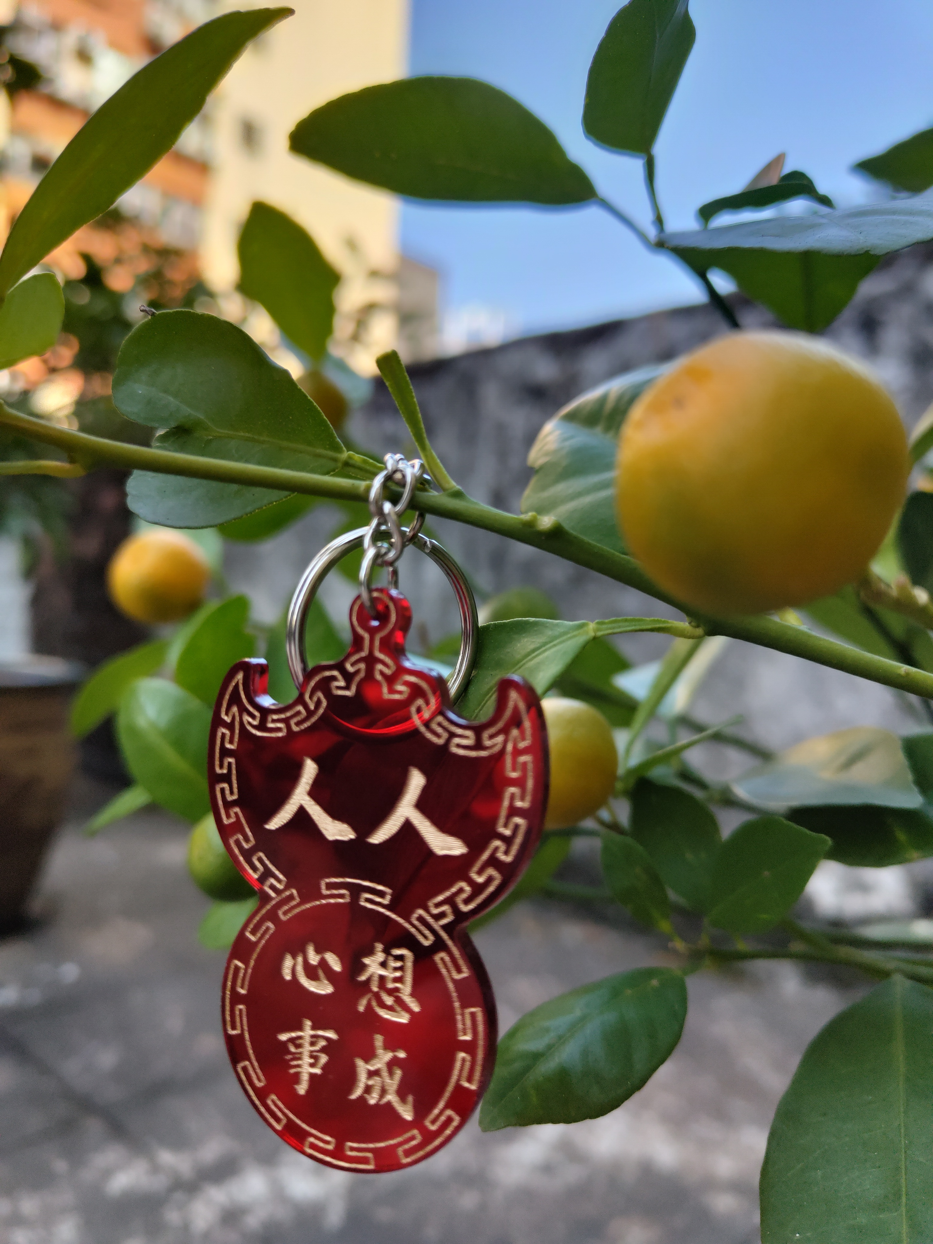 李漢港楷「人人心想事成」 - 喜慶蝠鼠吊金錢系列