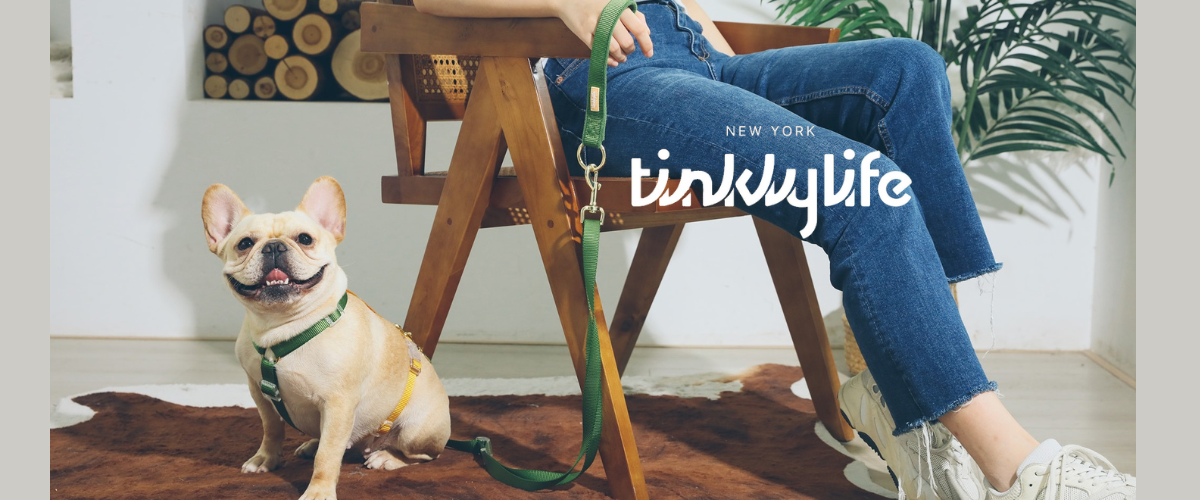 Tinklylife寵物牽引繩胸背帶