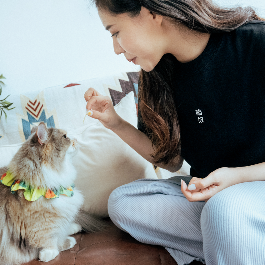 說文解字Project-"貓奴"短踢(字前款)