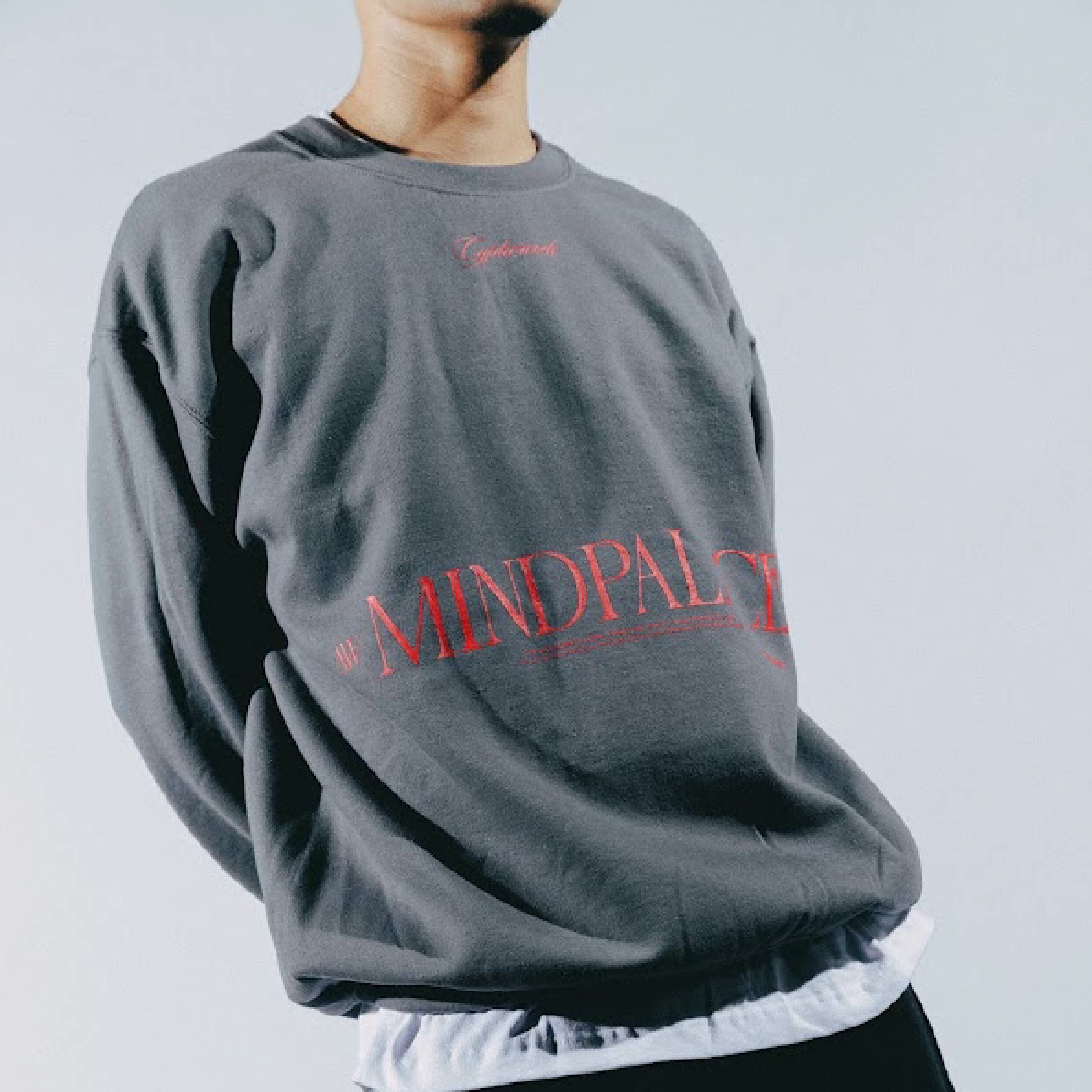 Cyphercode Mind Palace Crewneck Sweat 主題圓領大學Tee