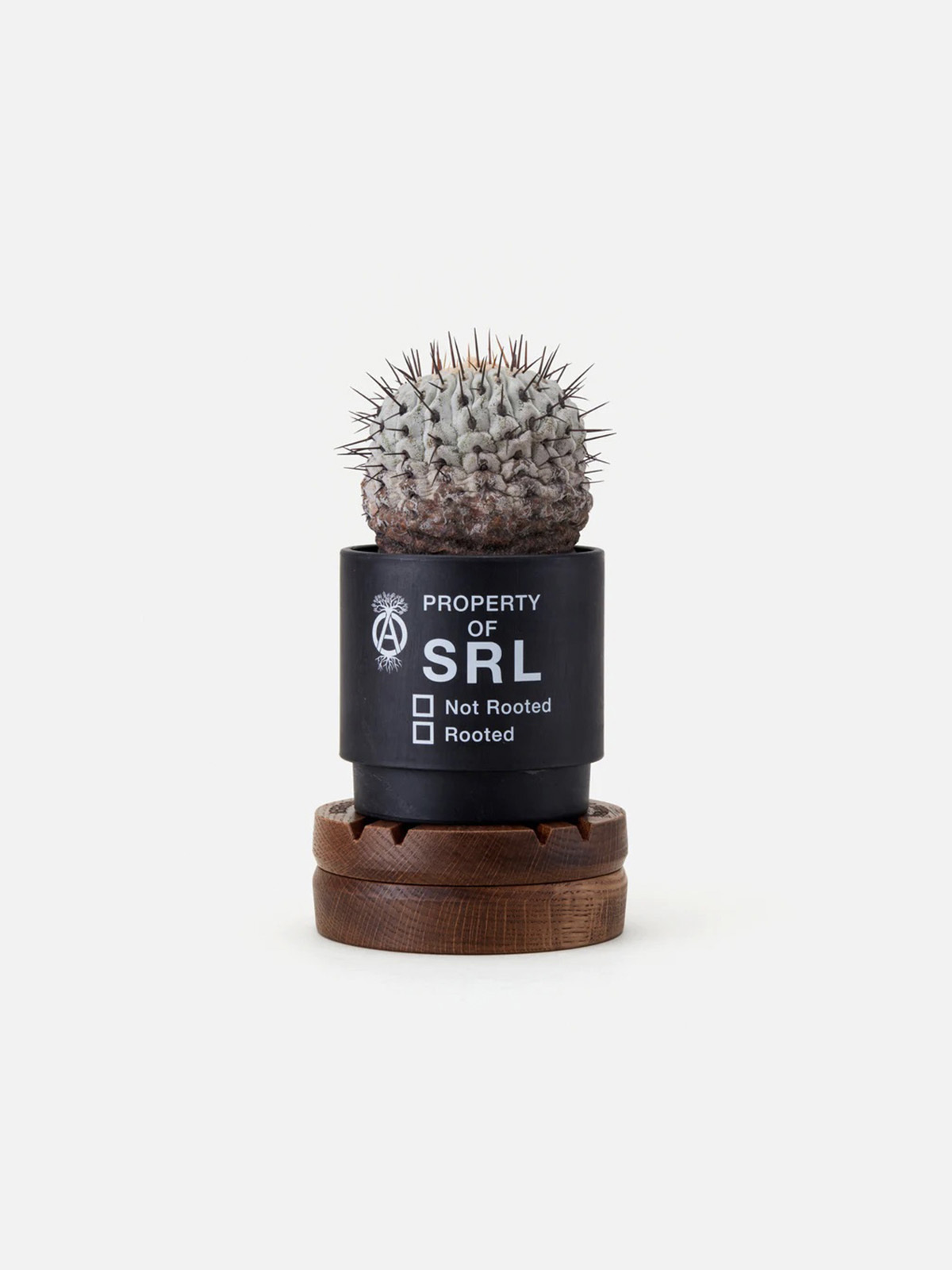 小物 NEIGHBORHOOD SRL LFE ROTARY WOODSTAND WD original.jpg?1700747710