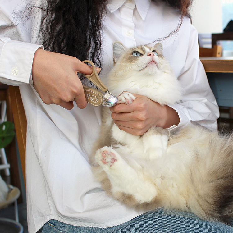 LOOKUT | LED燈貓咪指甲剪