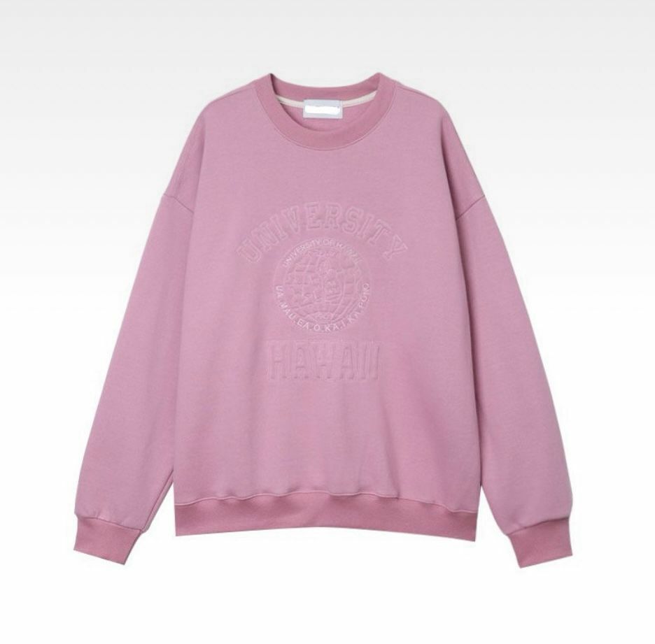 英文字圖案衛衣(薄抓毛底) T5235