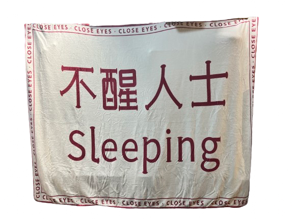 WakeUp 辦公室午睡毛毯不醒人士| 醉酒人士專用| 我無飲醉| 送比會飲醉既朋友| 聖誕禮物| 交換禮物
