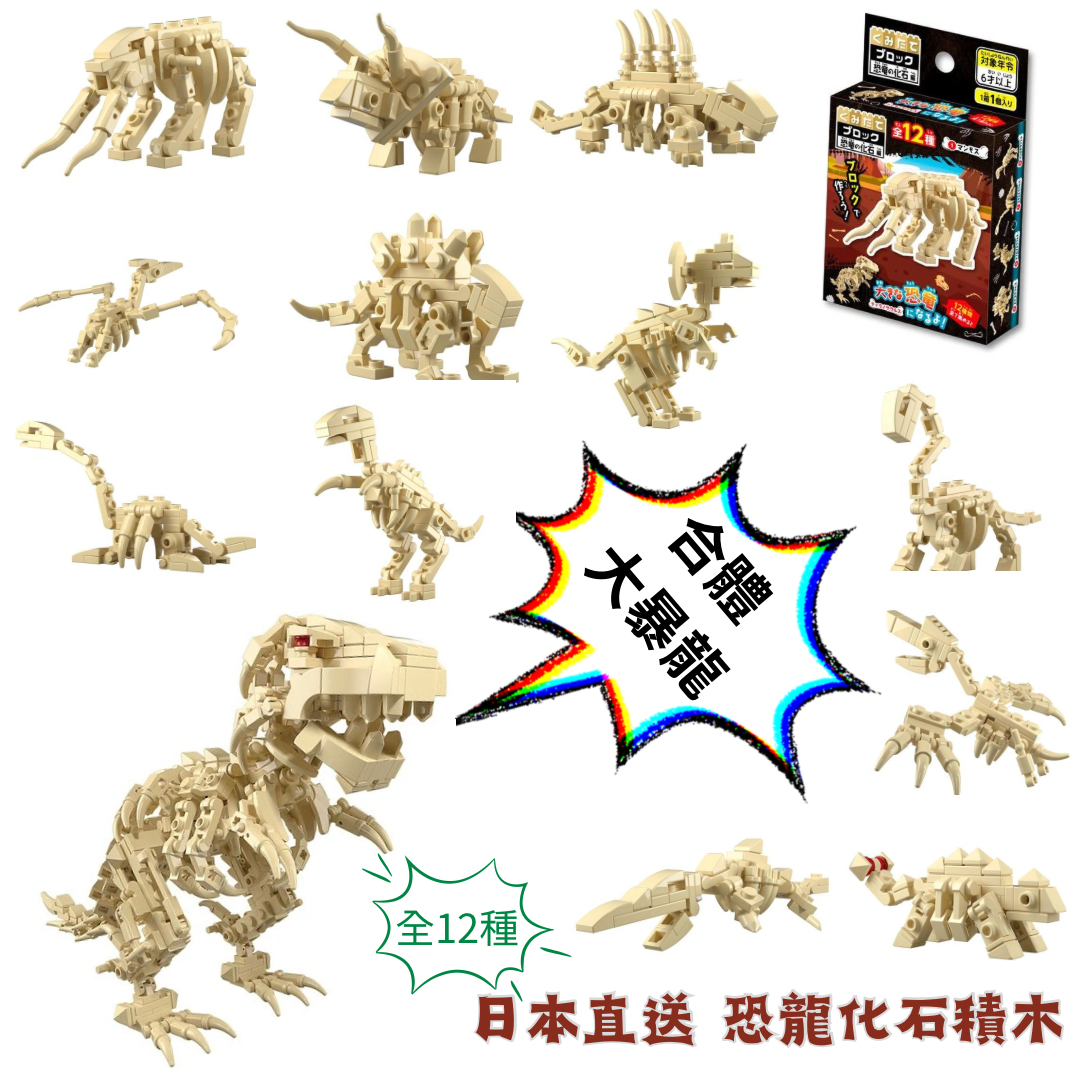 恐龍化石積木