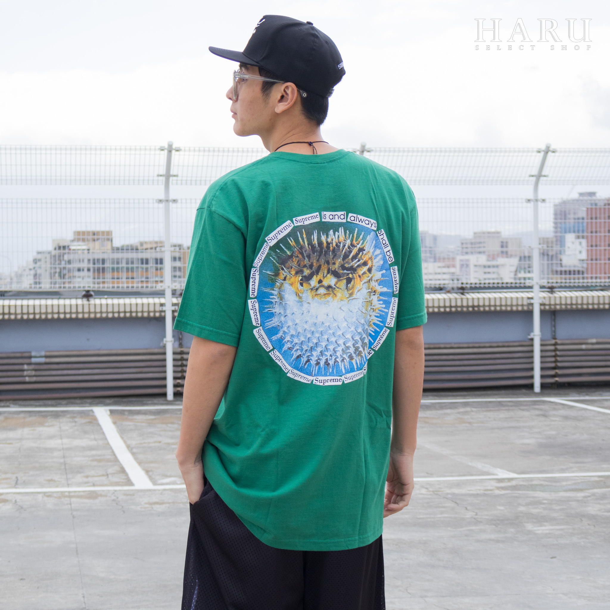 現貨 SUPREME BLOWFISH TEE 圖T 印花 背圖 綠 男女短袖上衣 SS23T68