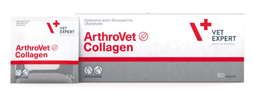 VET EXPERT ArthroVet Collagen  for dogs and cats 60 sachets (4 Boxes)